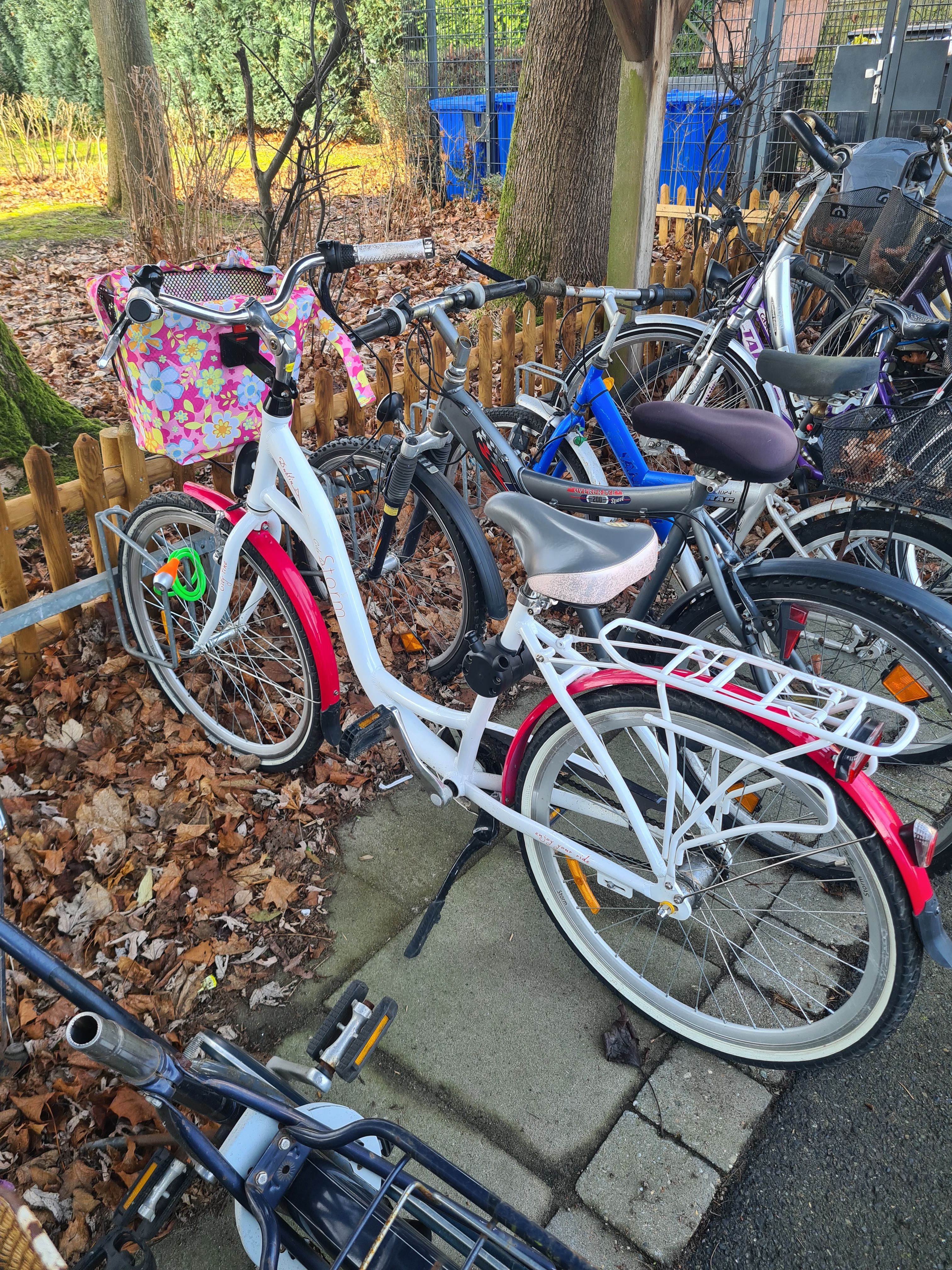 بسكليتة - RahaBay product image